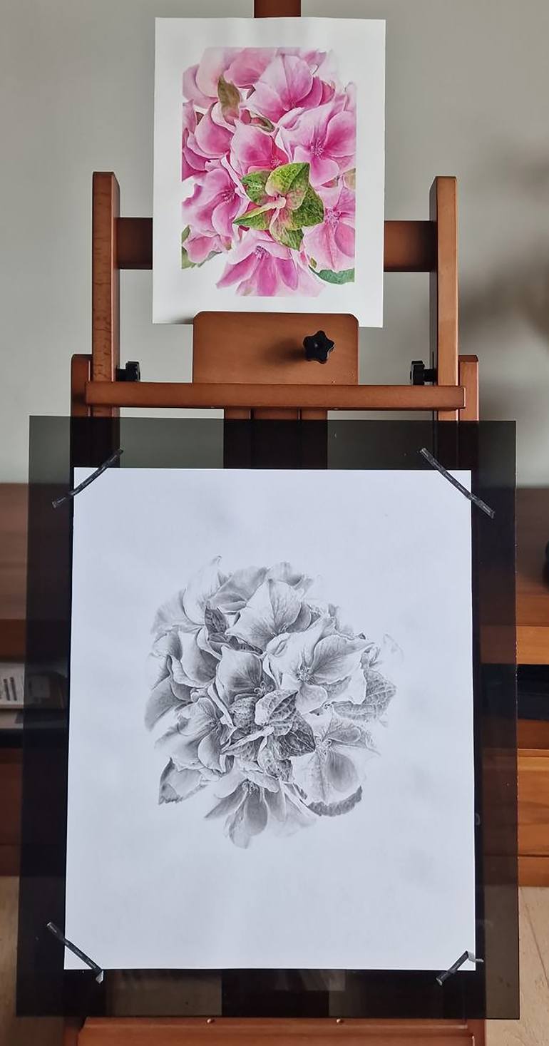 Original Contemporary Botanic Drawing by Anna Pronina