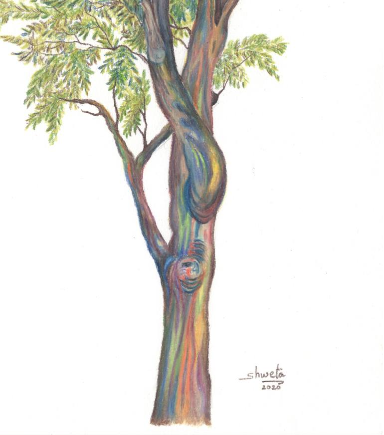 Original Realism Nature Drawing by Shweta Mahajan