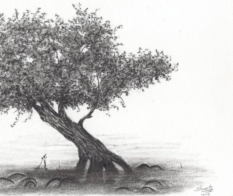 Original Realism Landscape Drawing by Shweta Mahajan