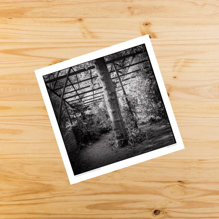 Original Contemporary Landscape Photography by Frederic Joncour