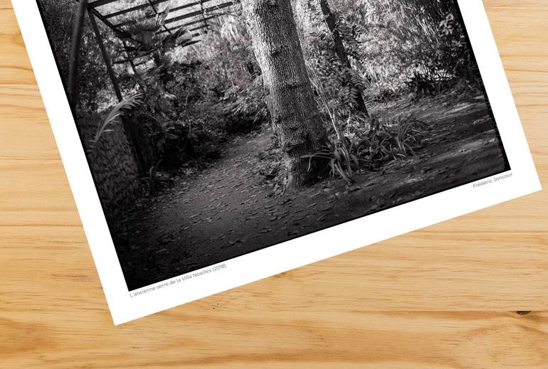 Original Contemporary Landscape Photography by Frederic Joncour