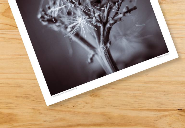 Original Black & White Still Life Photography by Frederic Joncour