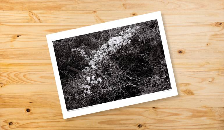 Original Contemporary Landscape Photography by Frederic Joncour