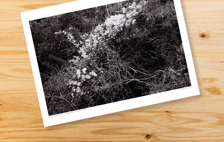 Original Contemporary Landscape Photography by Frederic Joncour