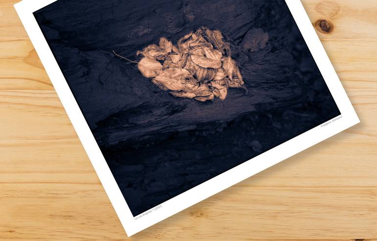 Original Black & White Still Life Photography by Frederic Joncour