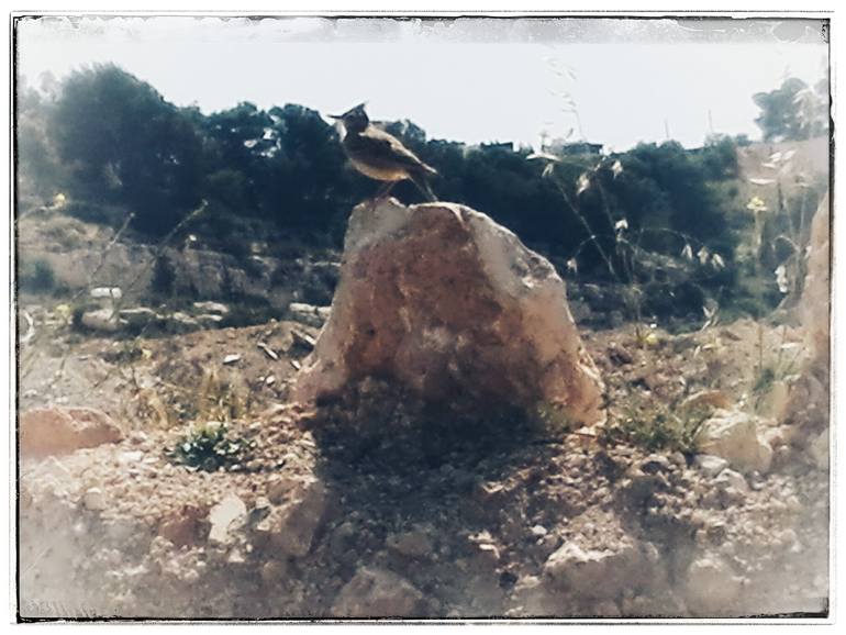 Slide undefined
