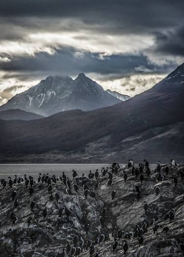 Nature's Symphony: A Portrait of Ushuaia's Wild Beauty thumb