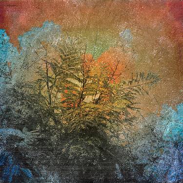 Print of Expressionism Nature Mixed Media by Daniel Ferreira-Leites Ciccarino