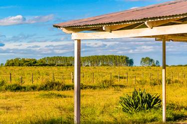 Rural Field Scene, San Jose Department, Uruguay thumb