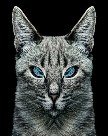 Evil Cat Portrait Digital Art thumb