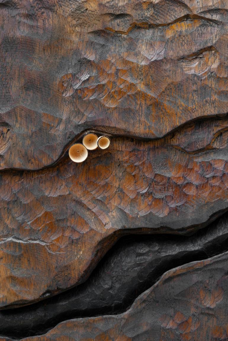 Original Abstract Sculpture by Riccardo Masini