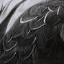 Feather texture: Layered charcoal strokes