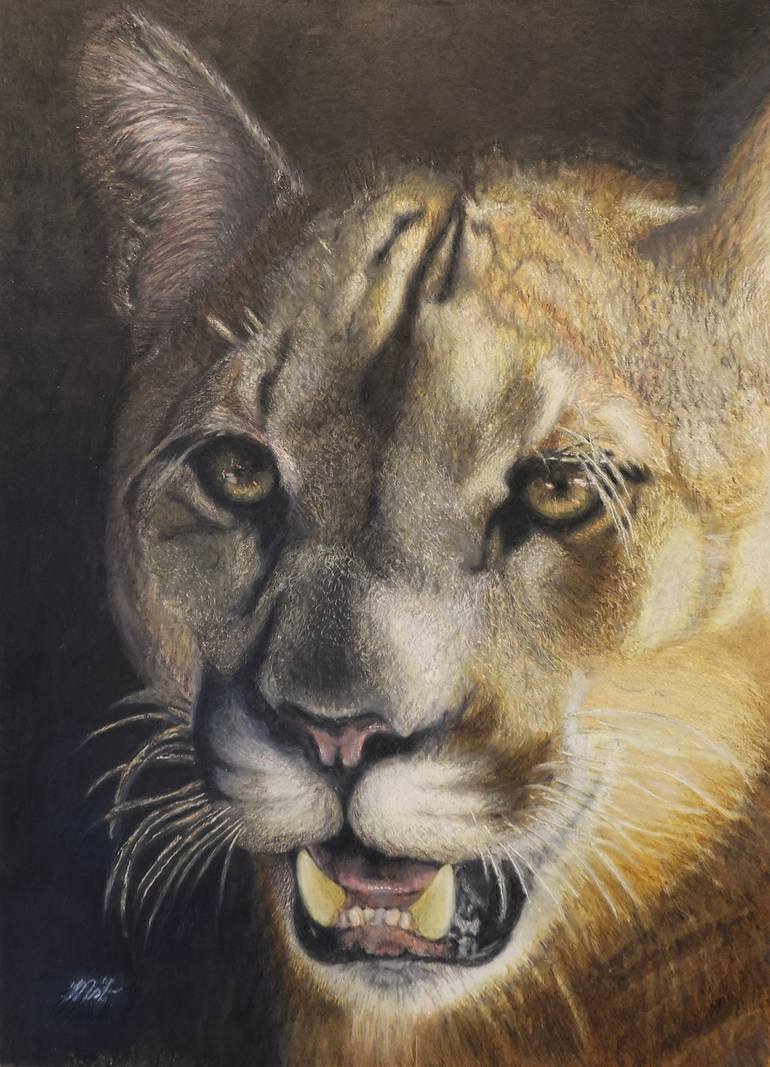 Majestic cougar Drawing by Susanne Tsang | Saatchi Art