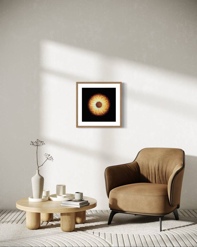 Original Contemporary Botanic Photography by Julia Kalinkina