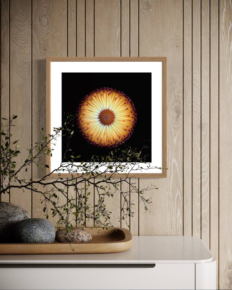 Original Contemporary Botanic Photography by Julia Kalinkina