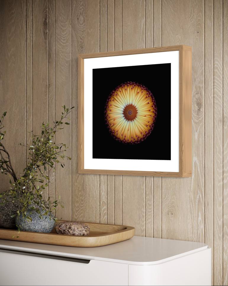 Original Contemporary Botanic Photography by Julia Kalinkina