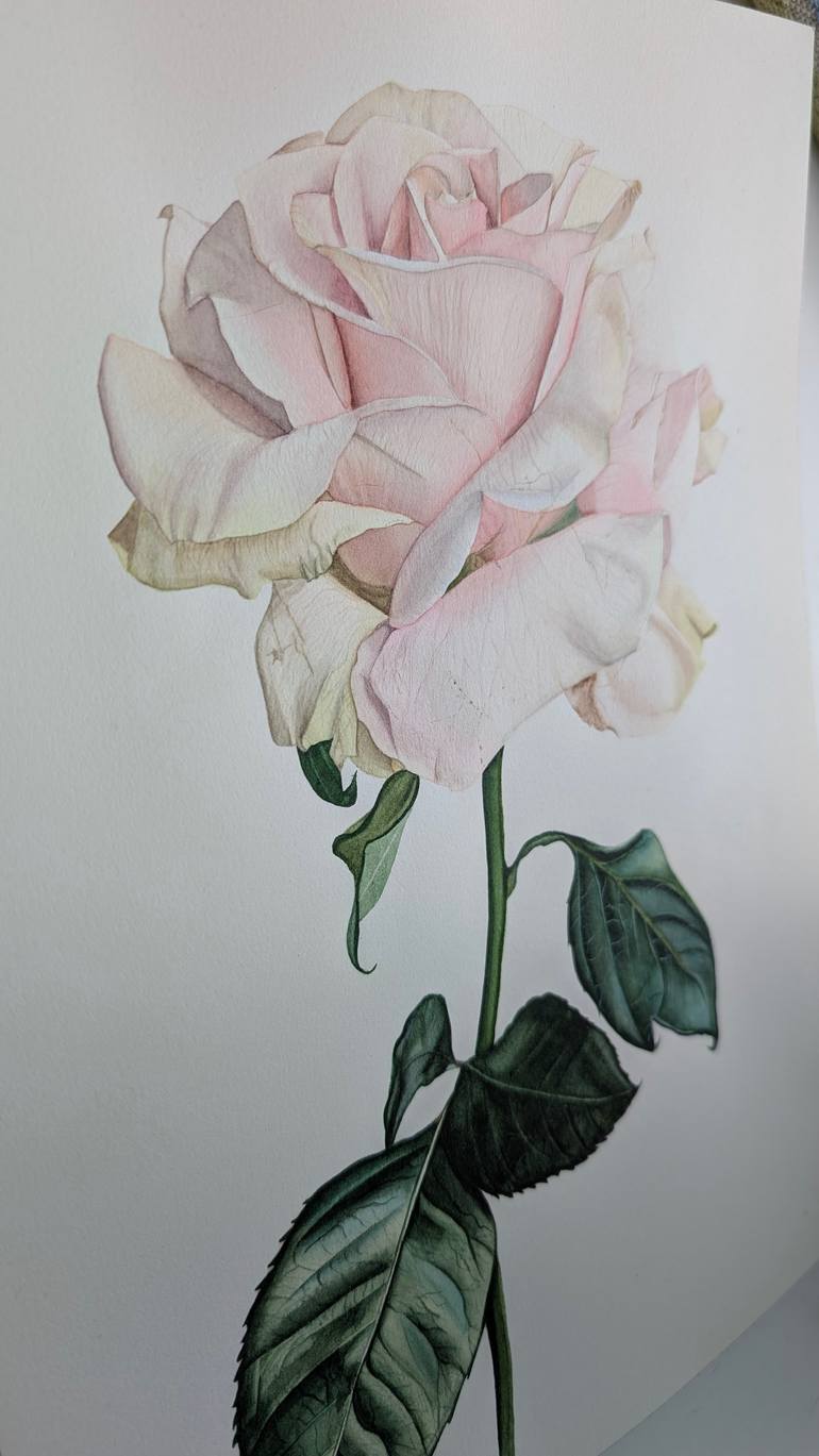 Original Realism Botanic Painting by Alla Enno