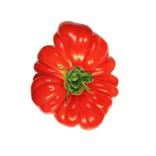 Collection Art for a Winter Refresh