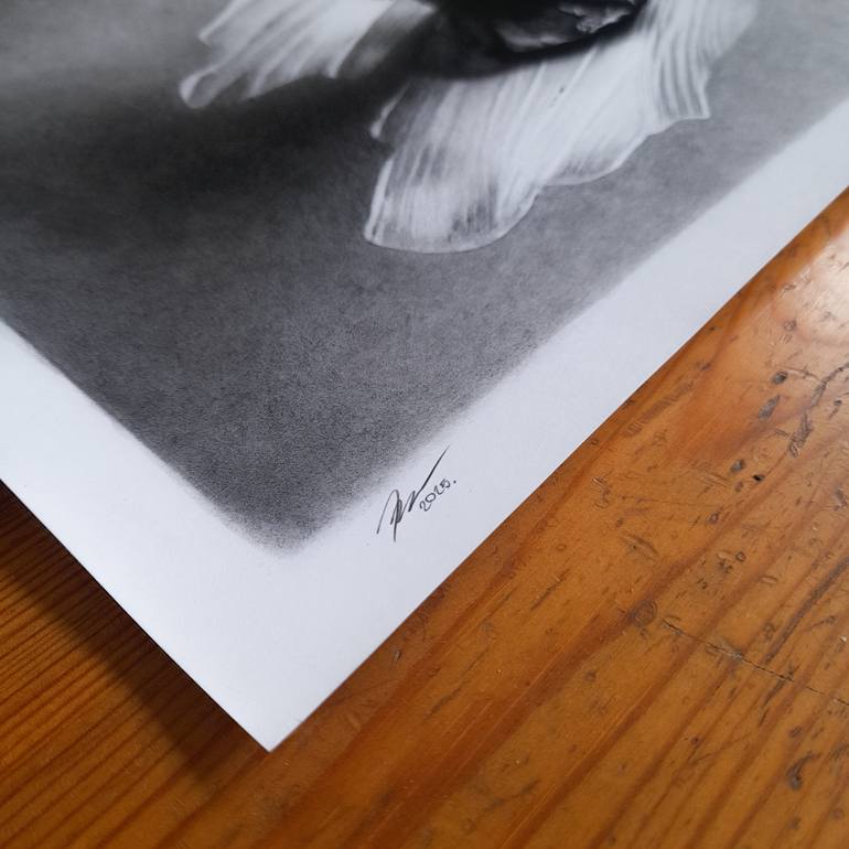 Original Photorealism Still Life Drawing by Robert Ferlindis