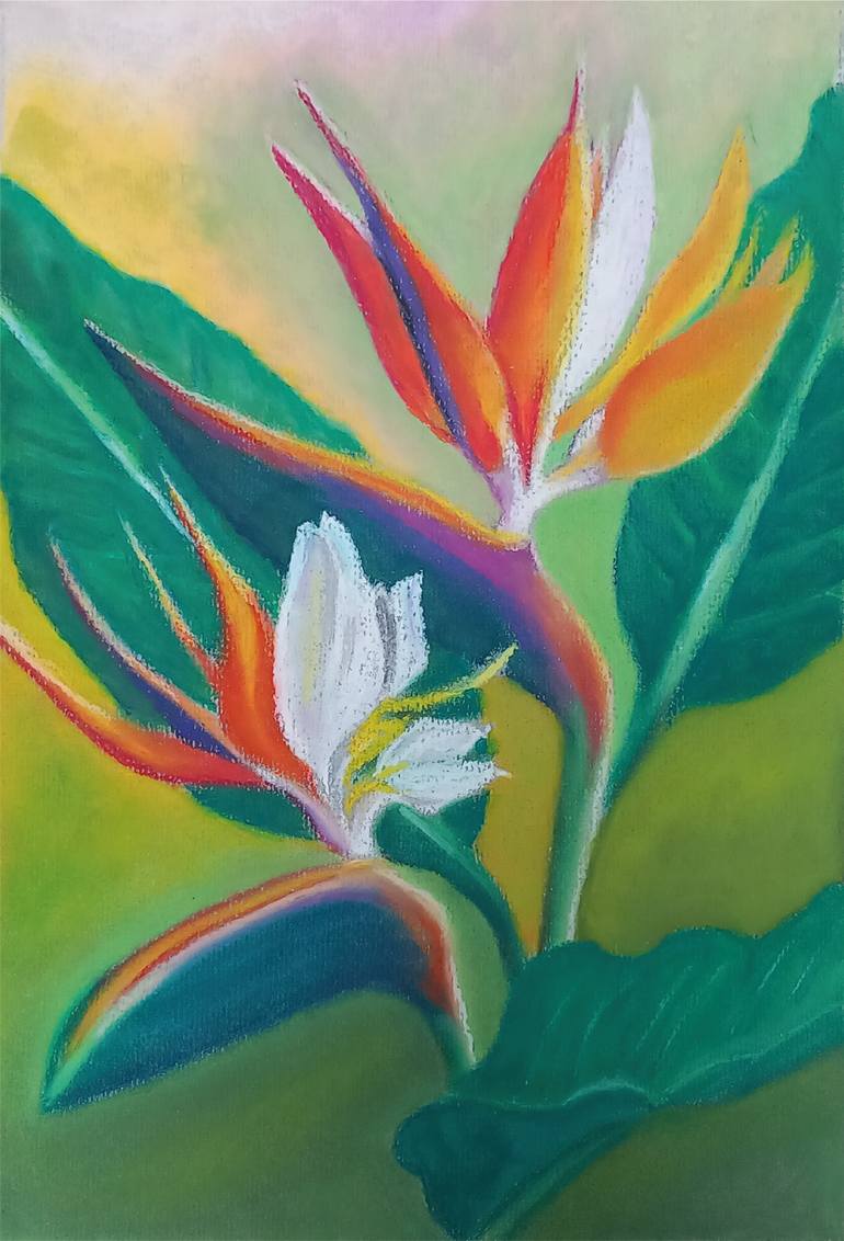 Original Floral Painting by Nevim Redzhebova | Expressionism Art on Paper | Bird of Paradise pair