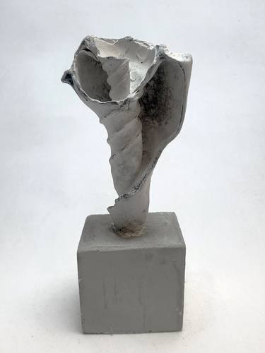 Original Abstract Nature Sculpture by Mikhail Gubin