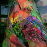 phantasmagoria #4 by Mikhail Gubin