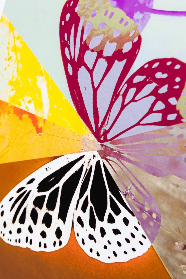 Original Digital Art Nature Digital by Miss Babbitt