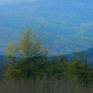 view additional image 1
