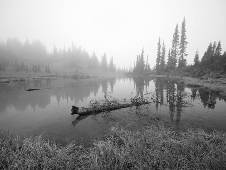 Original Landscape Photography by Gregory Johnston | Contemporary Art on Paper | B&W of foggy morning and tree in the water.