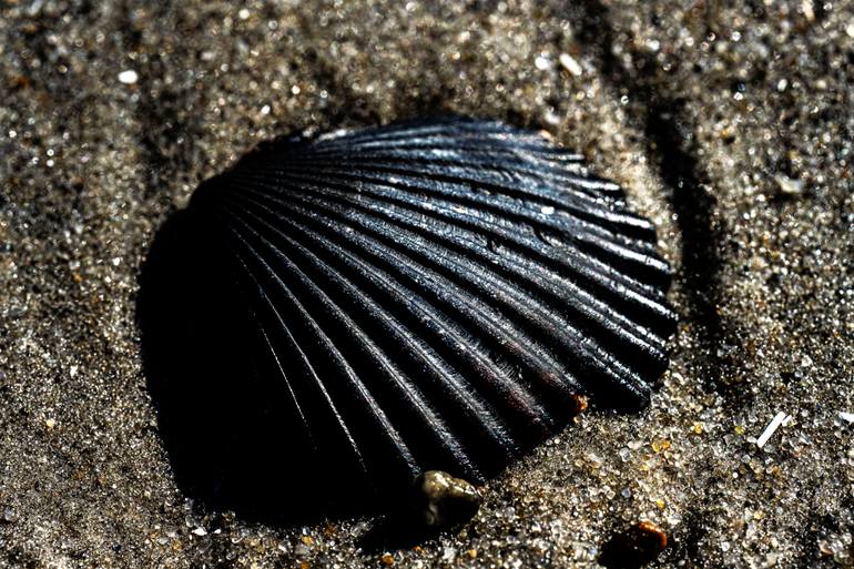 Original  Photography by david huntzinger