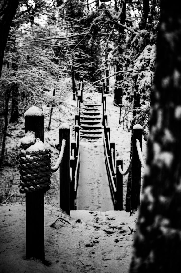Original  Photography by david huntzinger