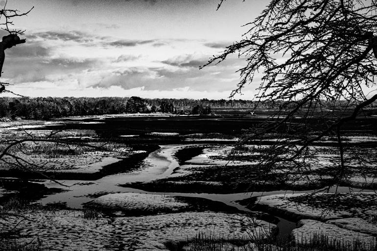 Original  Photography by david huntzinger