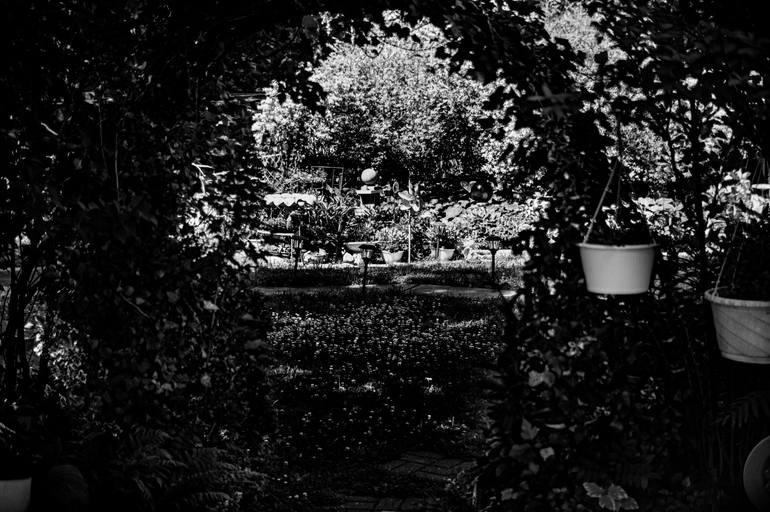 Between Shadow and Bloom Original Photography by david huntzinger