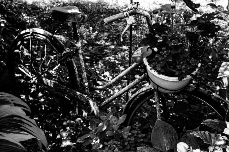 Where the Journey Paused Original Photography by david huntzinger