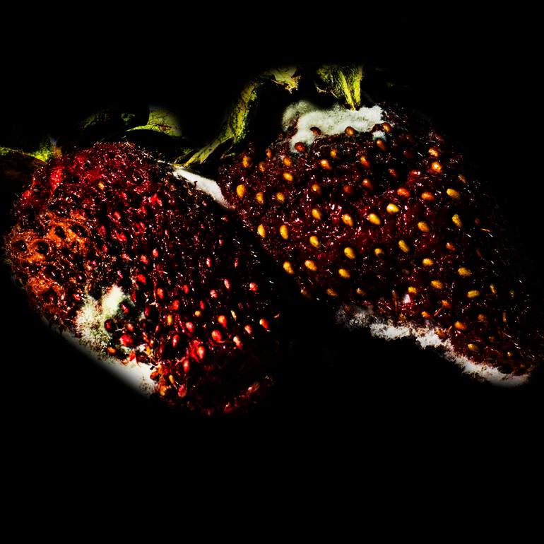 Original  Photography by david huntzinger