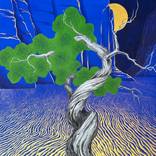 A Tree in the Dark by Sihyeon Park