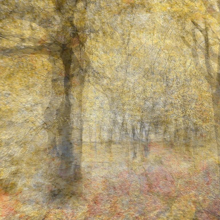 Original Abstract Botanic Photography by Douglas Carr