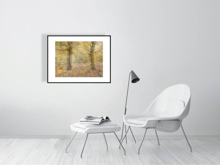 Original Abstract Botanic Photography by Douglas Carr