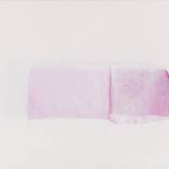 Pink Sheet II. by Peter Lenkey-Toth