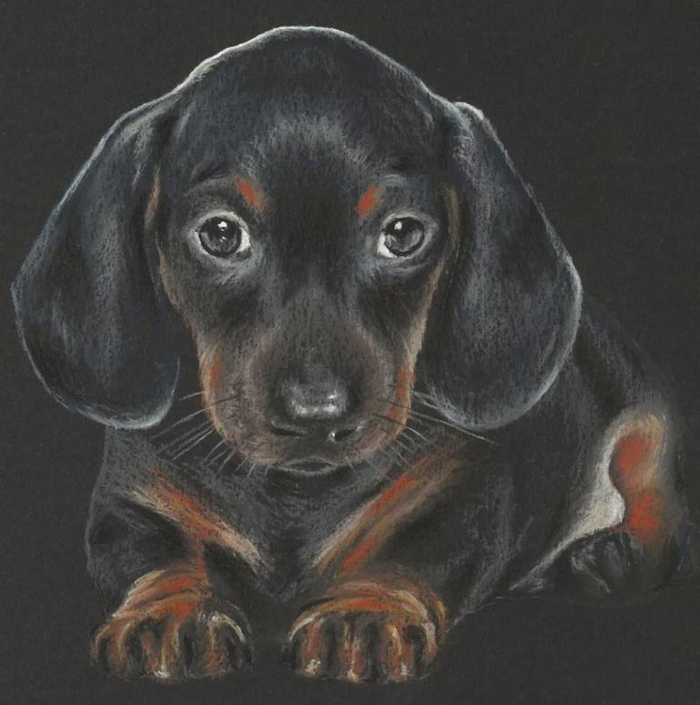 Original Realism Dogs Drawing by Olia Aver