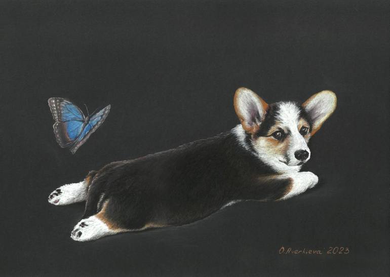 Original Dogs Drawing by Olia Aver | Photorealism Art on Paper | Little black corgi and a blue butterfly