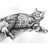 PITI by Gamze Olgun