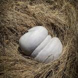 Collection One of a Kind: Original Works Under $2000