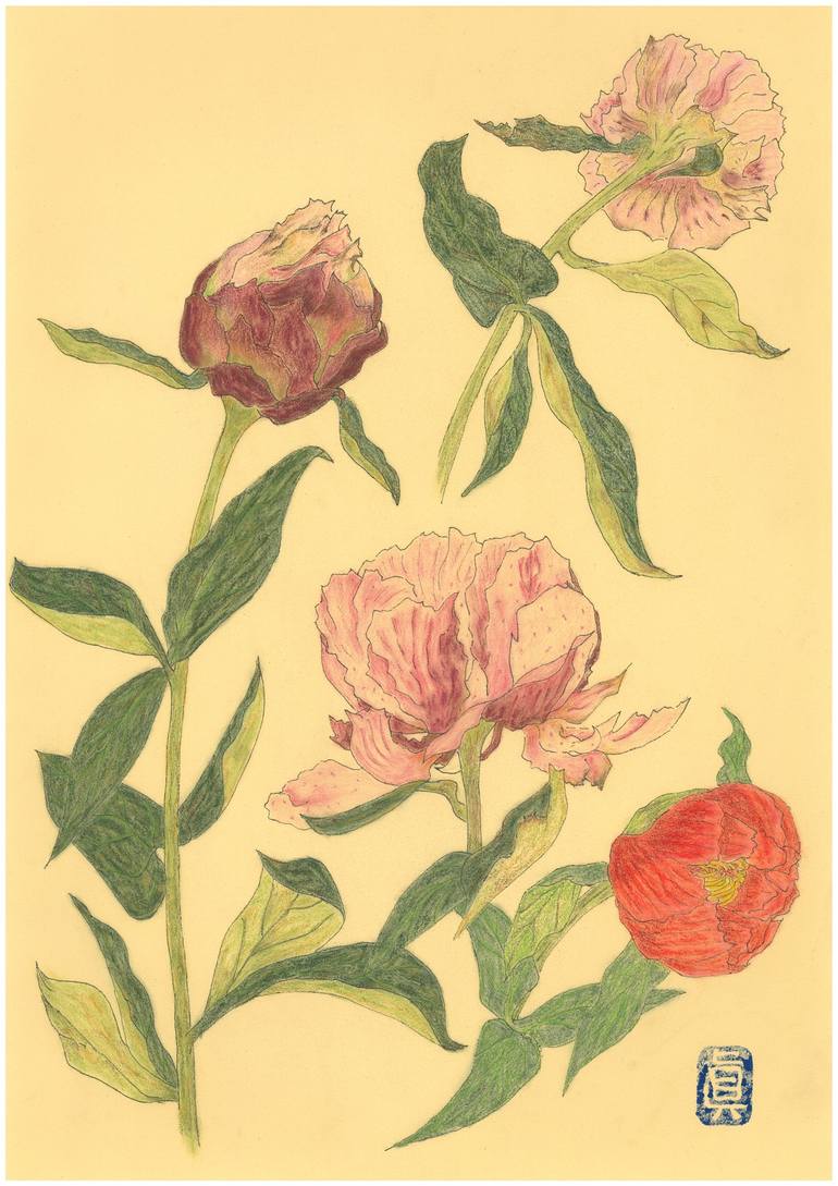 Original Figurative Botanic Drawing by Masumi Omae