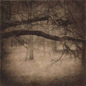 Collection From Russia