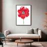 Poppy