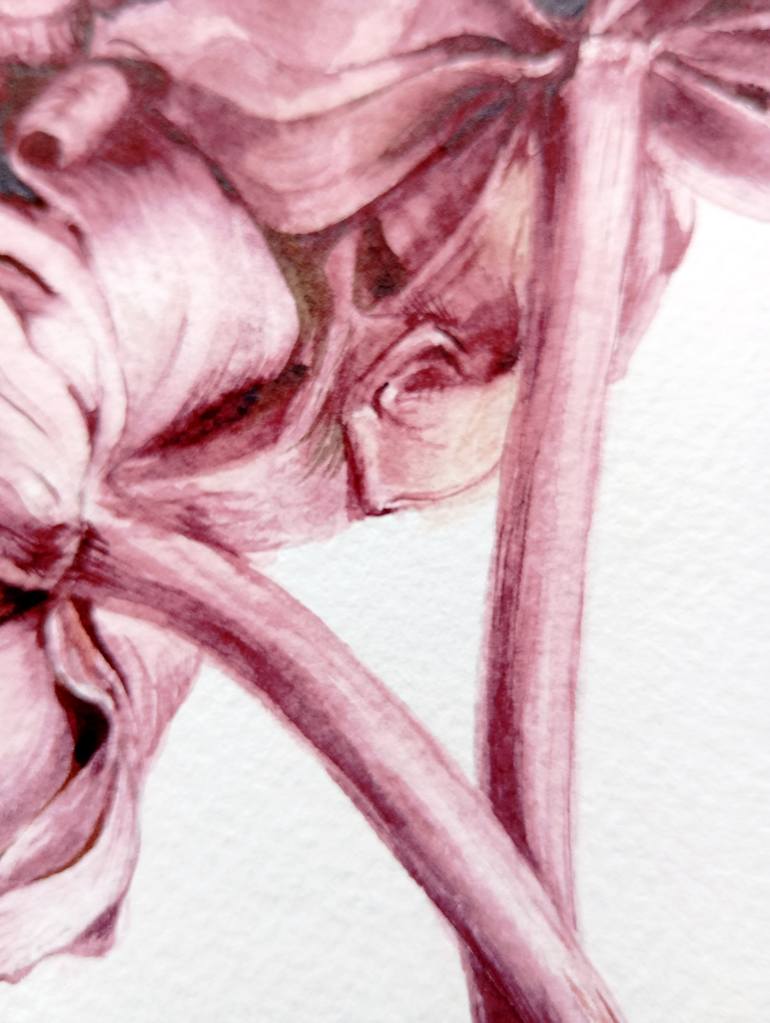 Original Illustration Botanic Painting by Drozdovska Viktoria