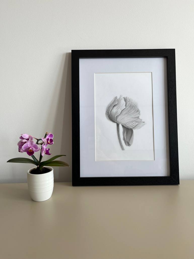 Original Minimalism Botanic Drawing by Alina Linkevych