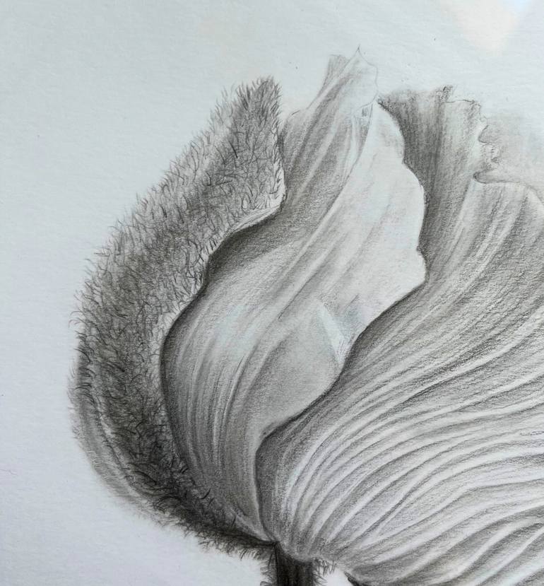 Original Minimalism Botanic Drawing by Alina Linkevych