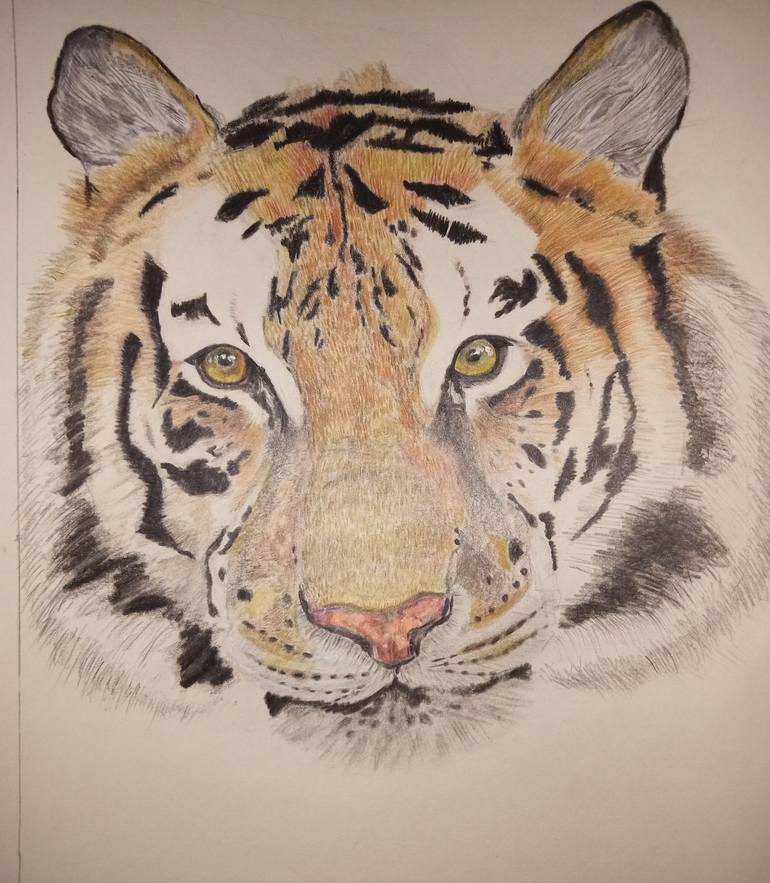 Original Illustration Animal Drawing by Imasha Dulanjali